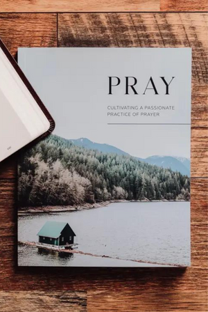 Pray | Cultivating a Passionate Prayer of Practice - Men