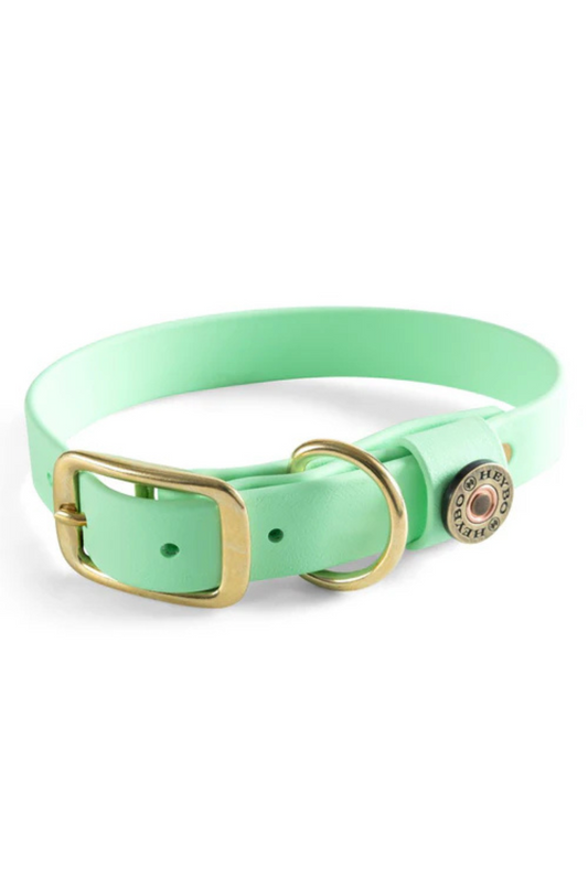 Heybo Biothane Dog Collar in Mint