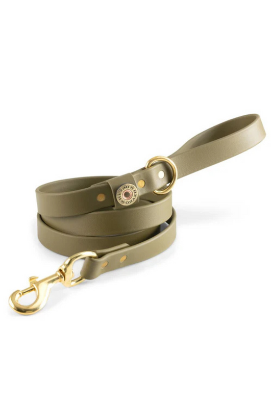 Heybo Biothane Dog Leash in Olive