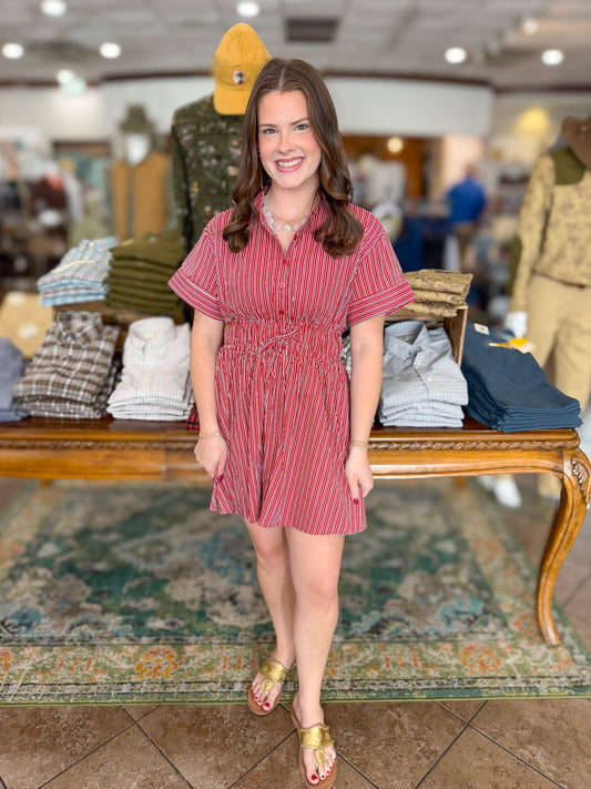 Eloise Pinstripe Dress in Burgundy