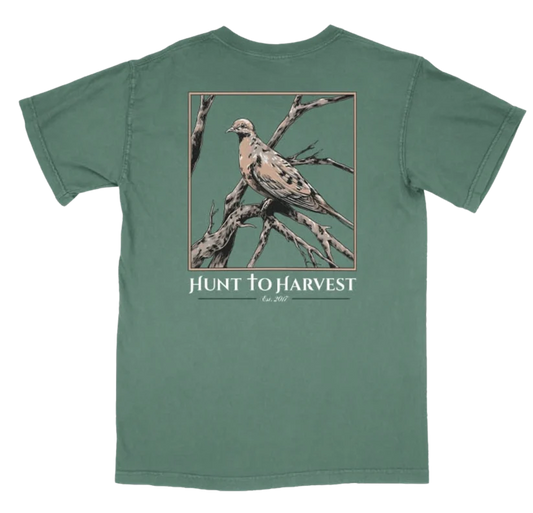 Hunt to Harvest Dove Tee in Light Green