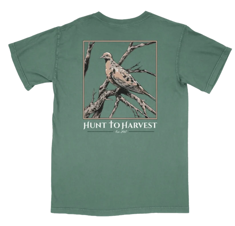 Hunt to Harvest Dove Tee in Light Green