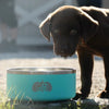 Toadfish | Non-Tipping Dog Bowl in Graphite