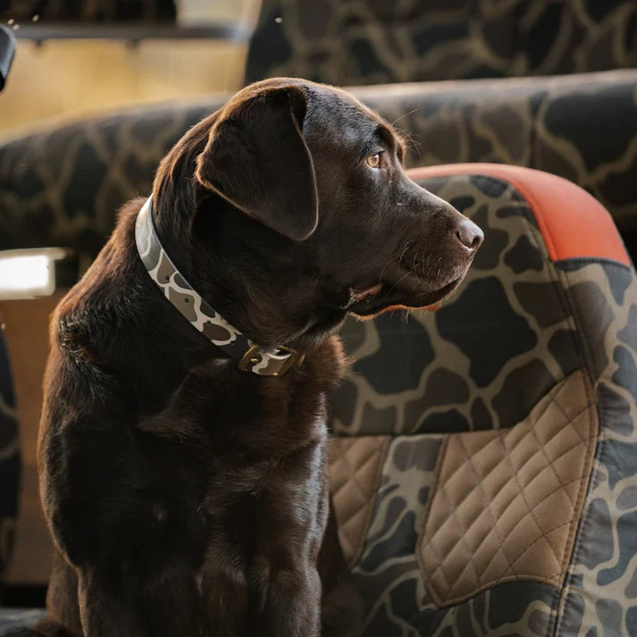 Over Under I Water Dog Collar in Duck Camo