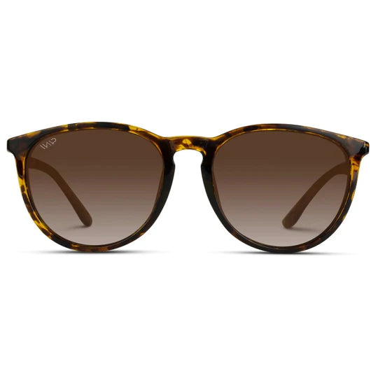 Drew Sunglasses in Tortoise Frame/Brown Lens