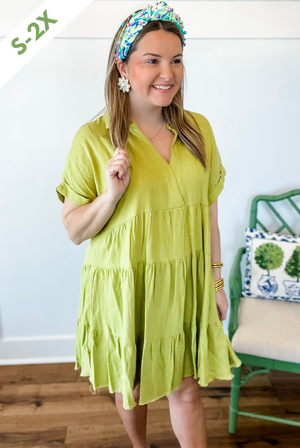 Celebrate the Day Dress
