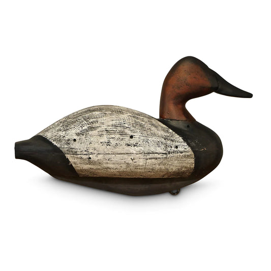 Canvasback Diver Decoy