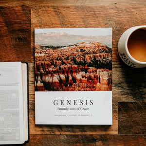 Genesis Volume 1 Foundations of Grace- Men