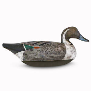 Pintail Puddle Duck Decoy