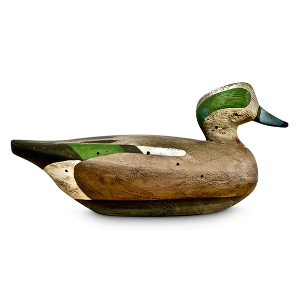 Wigeon Puddle Duck Decoy